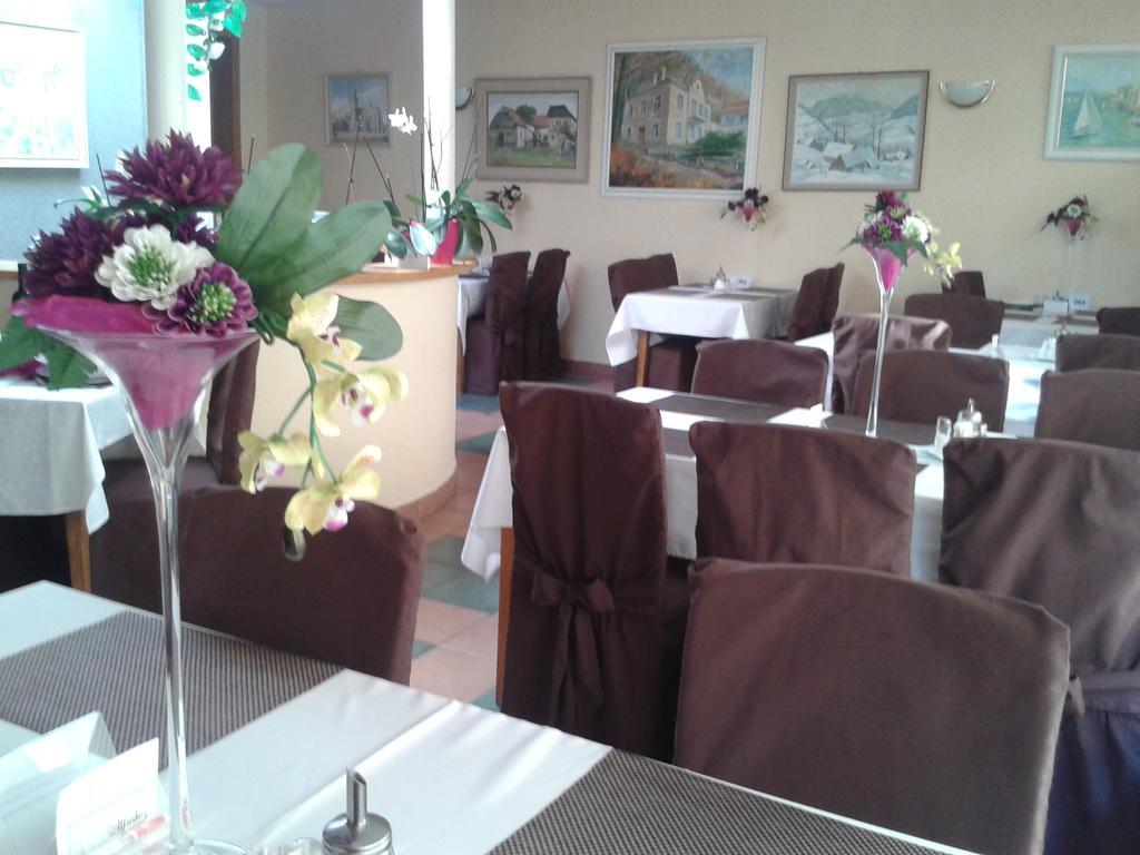 Hotel Vila Anna Тренчианске-Теплице Экстерьер фото